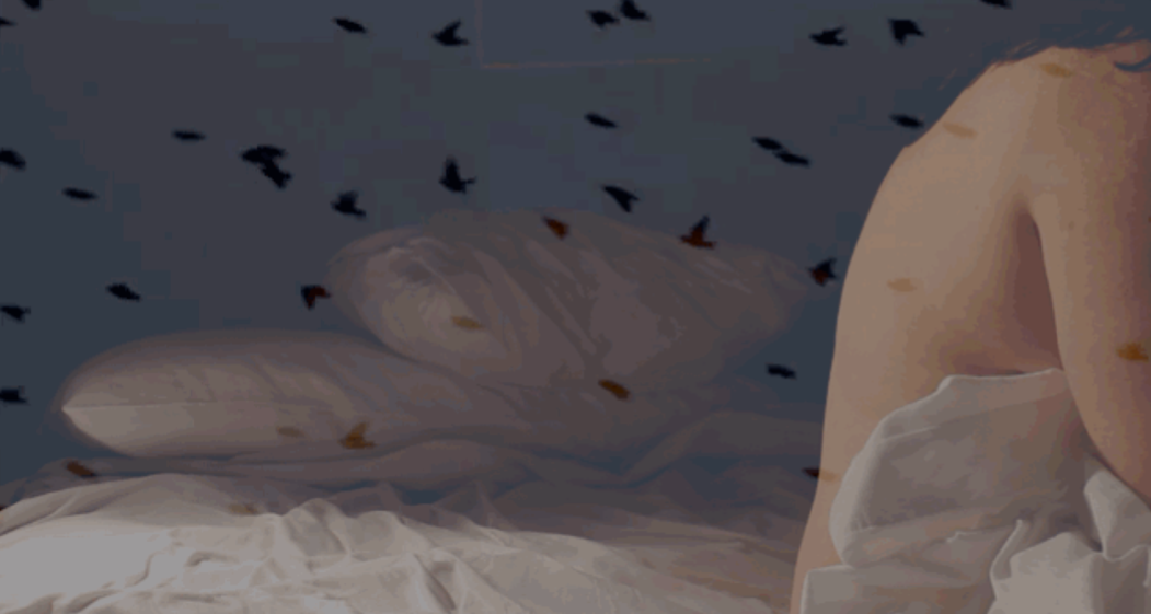 Still from Narcolepsy (2014), work by Meadow Jones.