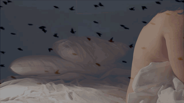 Animated artwork titled narcolepsy by Meadow Jones.